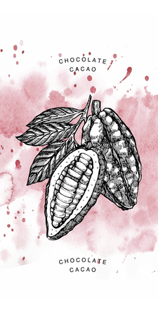 Chocolate beans illustrationのイラスト素材