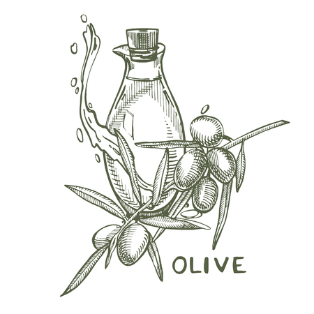 A branch of ripe olives is juicy poured with oil. Farmers market menu design. Organic food poster. Vintage hand drawn sketch vector illustration. Linear graphicのイラスト素材