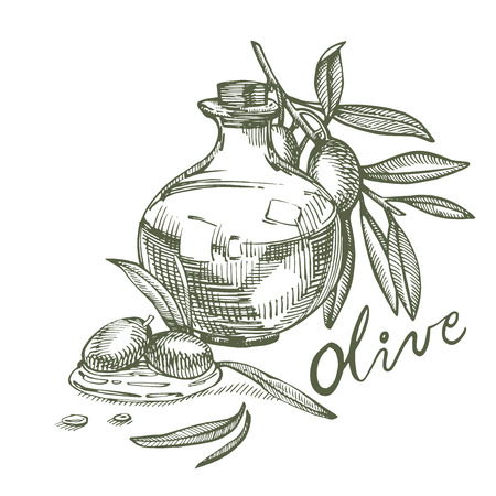 A branch of ripe olives is juicy poured with oil. Farmers market menu design. Organic food poster. Vintage hand drawn sketch vector illustration. Linear graphic.のイラスト素材