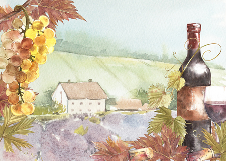 Bottles and leaves of grapes. Background with a lavender field. Watercolor illustration for postcards, scrabbuking. Hand drawn watercolor illustration. Banners of wine vintage background.の写真素材