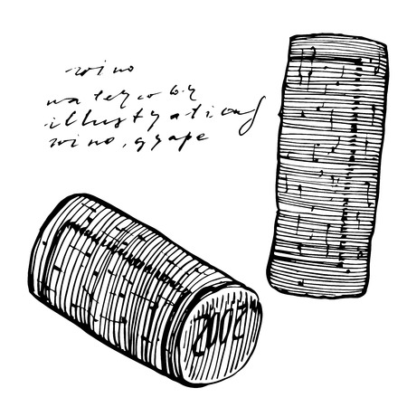 Traditional wine cork. Isolated on white background. Hand drawn engraving style illustrations.のイラスト素材