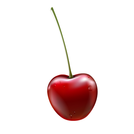 Red cherry. Ripe berries with stalk. Realistic vector illustration with transparent shadows isolated on plaid background. Sweet fruits. 3d vector.のイラスト素材