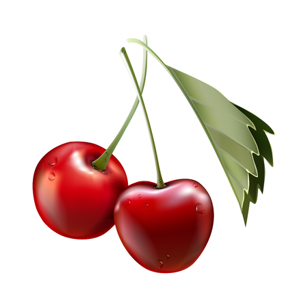 Red cherry. Two ripe berries with stalk. Realistic vector illustration with transparent shadows isolated on plaid background. Sweet fruits. 3d vectorのイラスト素材
