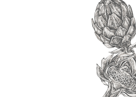 Vector hand drawn artichoke illustration on white background. Background for banner. Cosmetics and medical plant. Can be used for shop, menu, cafe, restaurant, poster, bannerのイラスト素材