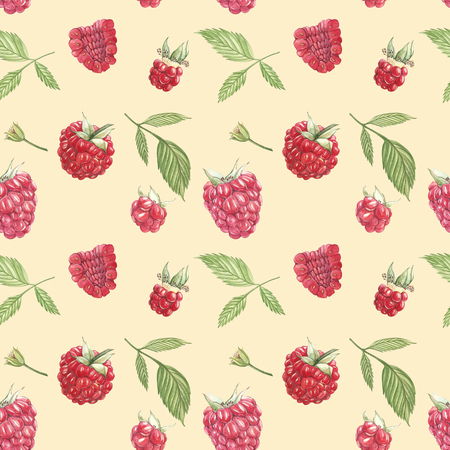 Hand drawn watercolor painting raspberry on white background. Botanical illustration. Seamless patternの写真素材