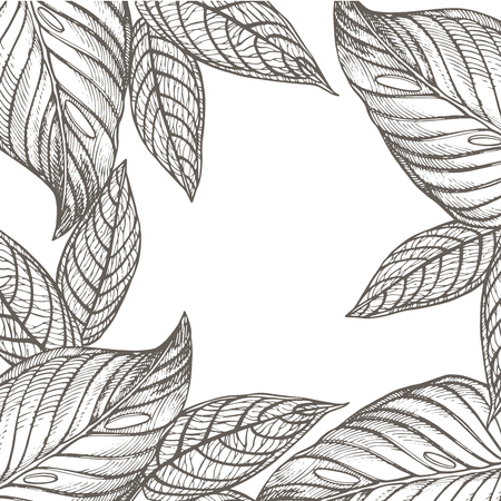 Summer tropical leaves vector design. Floral background illustration. Invitation or card design with jungle leavesのイラスト素材