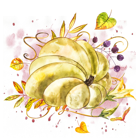 Pumpkin. Hand drawn watercolor painting on white background. Watercolor illustration with a splashの写真素材