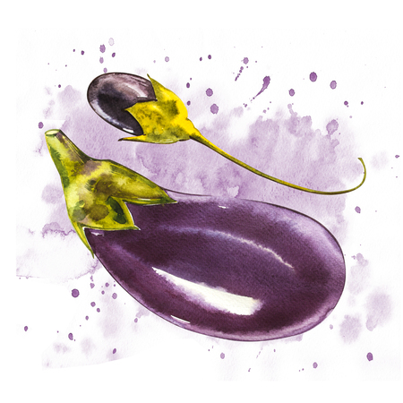 Eggplant. Hand drawn watercolor painting on white background. Watercolor illustration with a splash.の写真素材