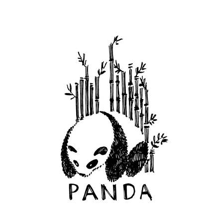 Hand drawn panda with bamboo. Vector illustration isolated on white. Panda Logo Design Inspirationのイラスト素材
