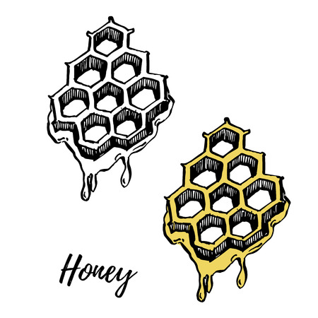 Honey elements illustrations. Vector Hand drawn illustrations isolated on white background.のイラスト素材