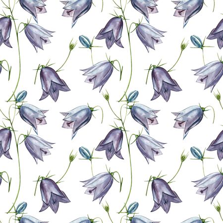 Bellflower blossoms, leaves and bouquets set. Seamless patterns. Watercolor set of flowers and leaves, hand drawn floral illustration isolated on a white background. Botanical art.の写真素材
