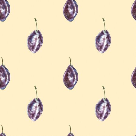 Ripe plum and branch with flowers. Plum drawing watercolor isolated on white background. Watercolor botanical illustration. Seamless patterns.の写真素材