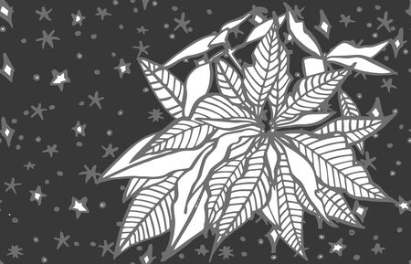 Christmas winter plants, flowers and berries. Greeting card invitation with xmas graphic. Vintage illustration.のイラスト素材