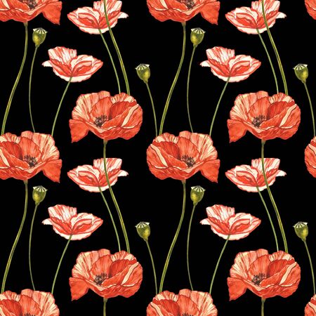 Watercolor red poppies. Seamless patterns. Wild flower set isolated on white. Botanical watercolor illustration, red poppies bouquet, rustic poppy flowers.の写真素材
