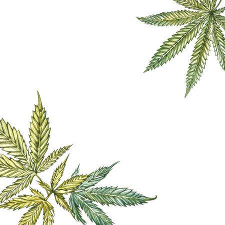 CBD oil hemp products. Watercolor illustration on white background. Set of drawing floral elements, watercolor botanical illustration. Seamless patterns. Good for cosmetics, medicine, treating, aromatherapy, nursing, package design.の写真素材