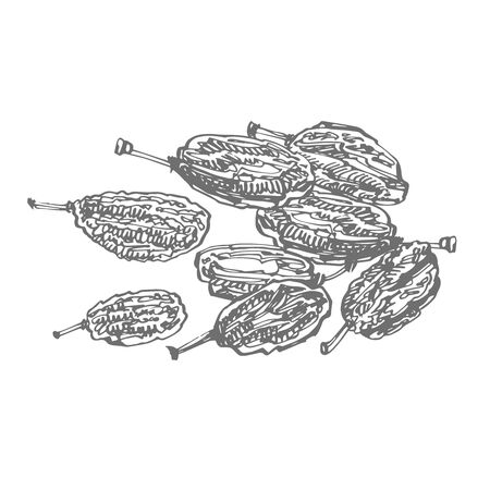 Raisins. Vector illustrations of Sketch Dried Fruits.のイラスト素材