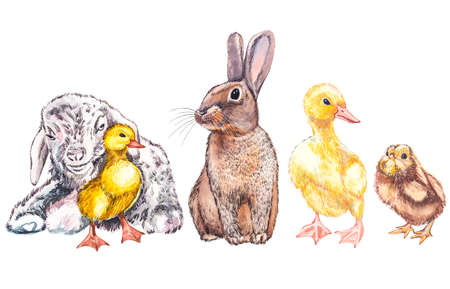 Duckling, goat, cute chick and rabbit watercolor illustration. Easter set. Hand painted card with...
