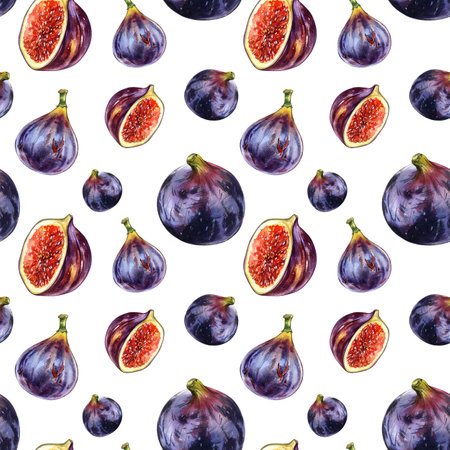 Seamless pattern fig fruit, slice isolated on white. Watercolor hand draw realistic botanic illustration. Art for designの写真素材