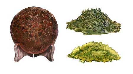 Heap green tea dry, puerh isolated on white background. Watercolor hand drawing sketch illustration. Art for herb designの写真素材