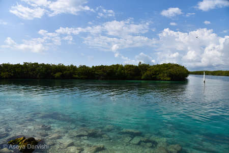 Azure blue riverの写真素材
