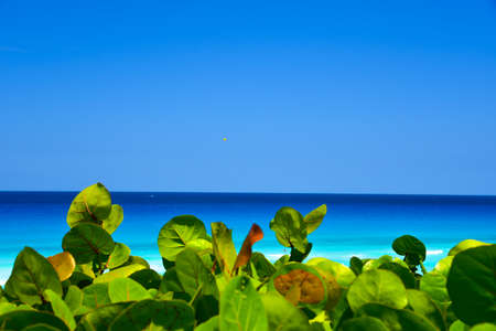 Blue transition coloring seaの写真素材