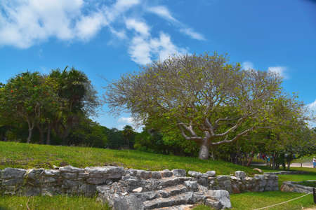 Wonderful placeの写真素材