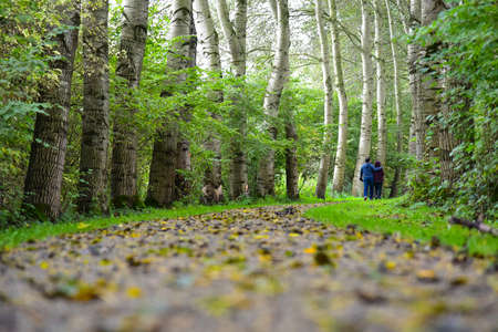 Walking in the forestの写真素材