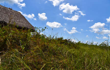 Hut in the moorの写真素材