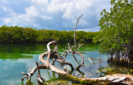 Beautiful riverの写真素材