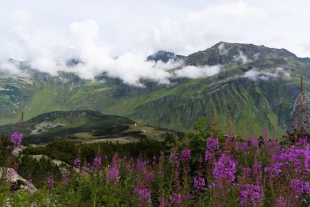 Magical landscapeの写真素材