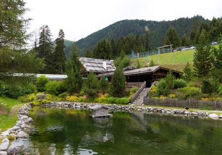 In the meadowの写真素材