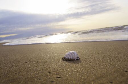 tide 