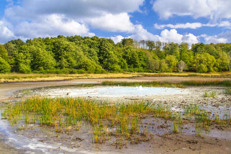Solfatara of Manzanitaの写真素材
