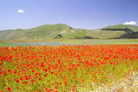 Italian landscapeの写真素材