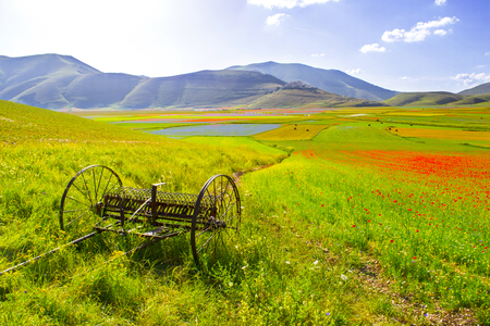 Italian landscapeの写真素材