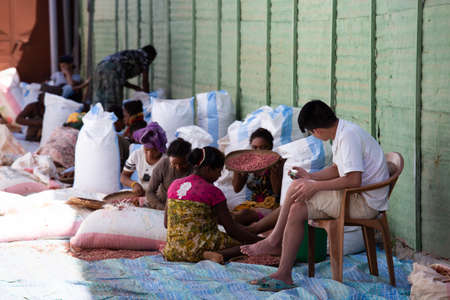 Women working to sort peanutsのeditorial素材