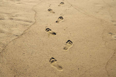 lonely human footprints in the sand by the sea