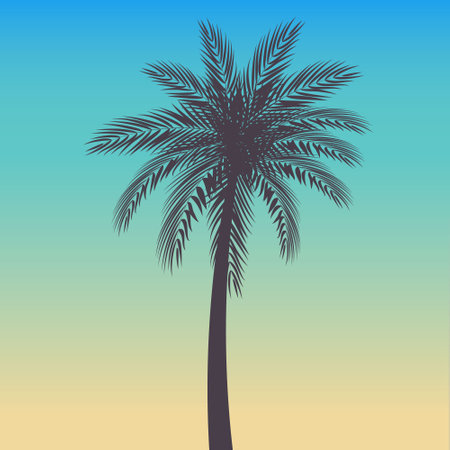 Silhouette of palm tree on blue sky background. Vector illustrationのイラスト素材