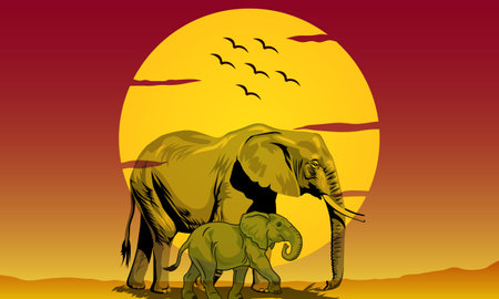 Elephants in the savanna at sunset, vector illustration.のイラスト素材
