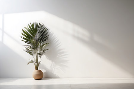Palm tree in vase on white wall background. 3d renderの素材