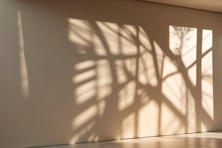 sunlight and shadow on the wall of a room, interior designの素材