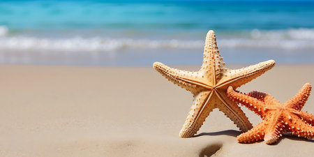 Two starfishes on the sandy beach with sea and blue sky backgroundの素材