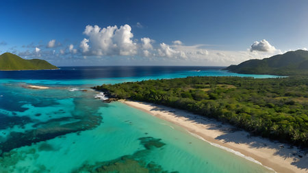 Aerial view of tropical beach in Seychelles, Maheの素材