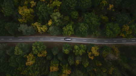 Aerial view of a car driving on the road in the forestの素材