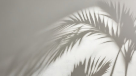 Shadow of palm leaves on a white wall. Abstract background for design.の素材