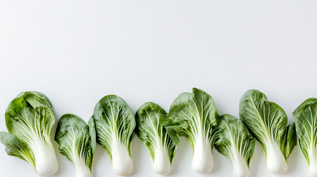 Fresh green bok choy or chinese cabbage on white backgroundの素材