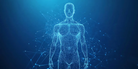 3D rendering of a human body made of points and lines on a blue backgroundの素材