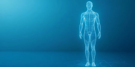 Human body made of wireframe on blue background. Medical and healthcare conceptの素材