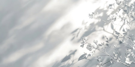 White leaves on a white background with shadow. Place for text.の素材
