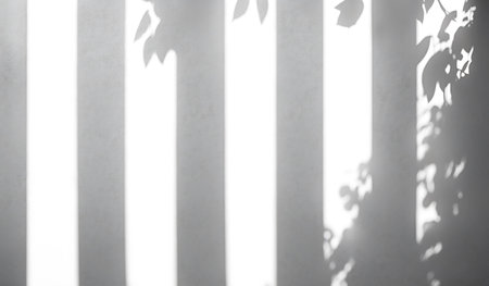 Shadow overlay effect for photo and mockups. Sunlight through the window.の写真素材